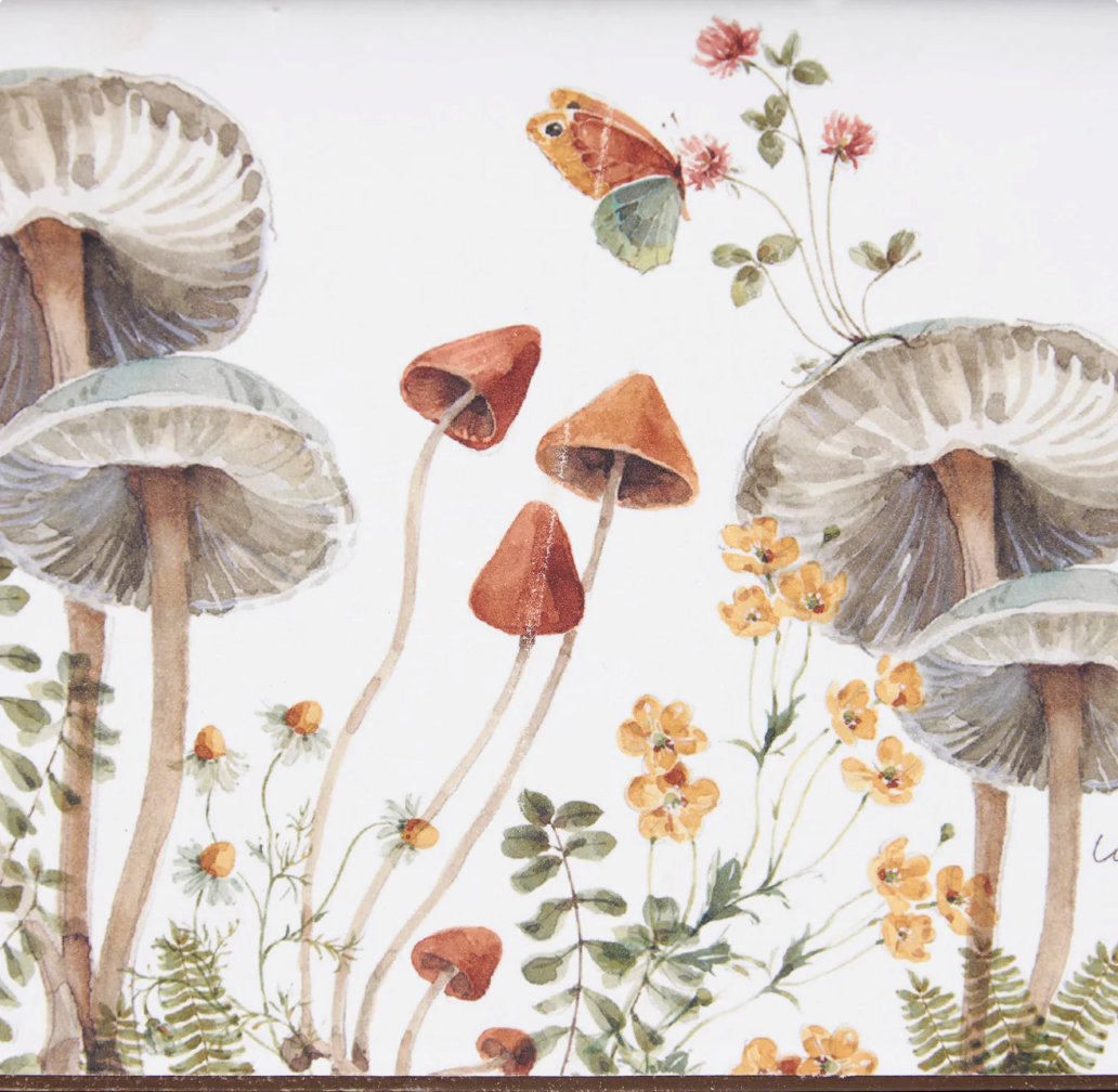 Mushroom Study Bin - Large - 20.5 x 5 x 5"