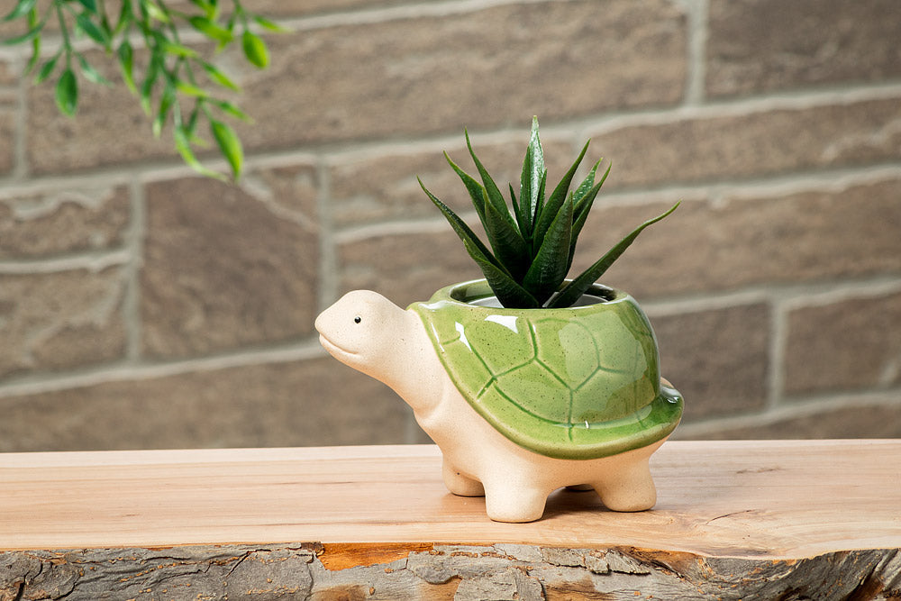 Small Green Turtle Planter