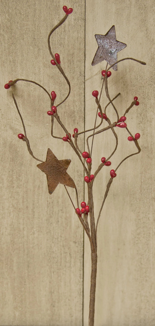 Red Pip Berry & Star Pick – 12" Rustic Farmhouse Stem