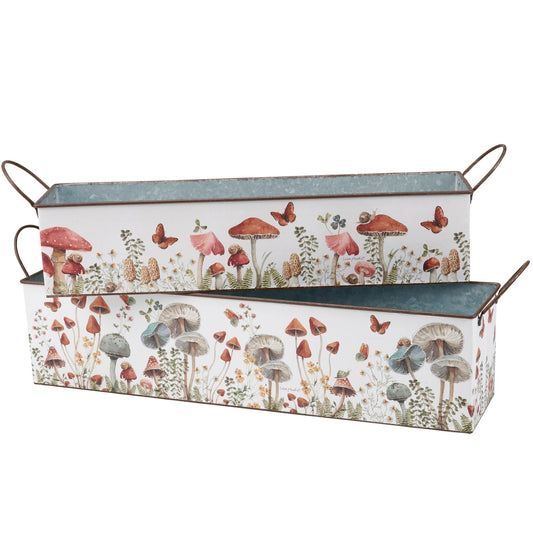 Mushroom Study Bin - Large - 20.5 x 5 x 5"