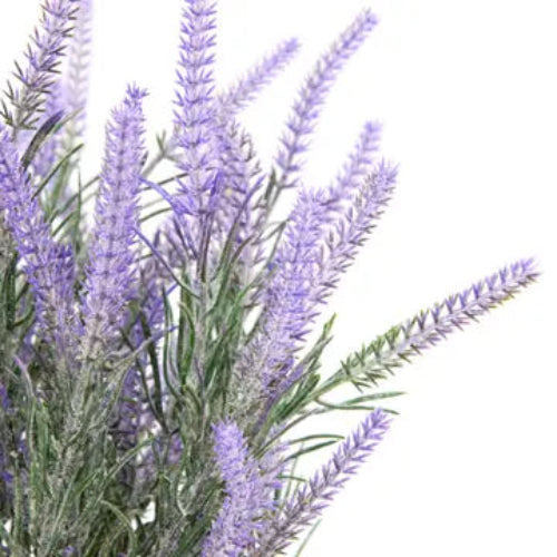 Lavender Faux Planter in Wooden Box
