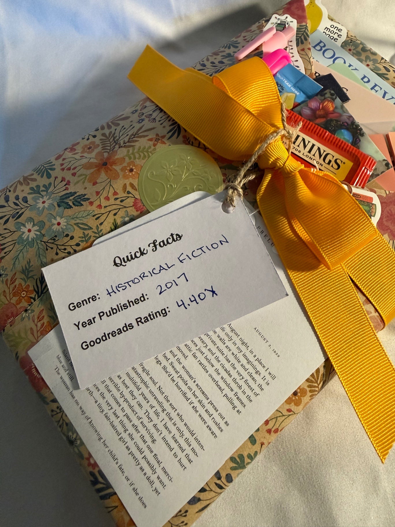 Date My Books Deluxe Blind Date Book - Historical Fiction - D117