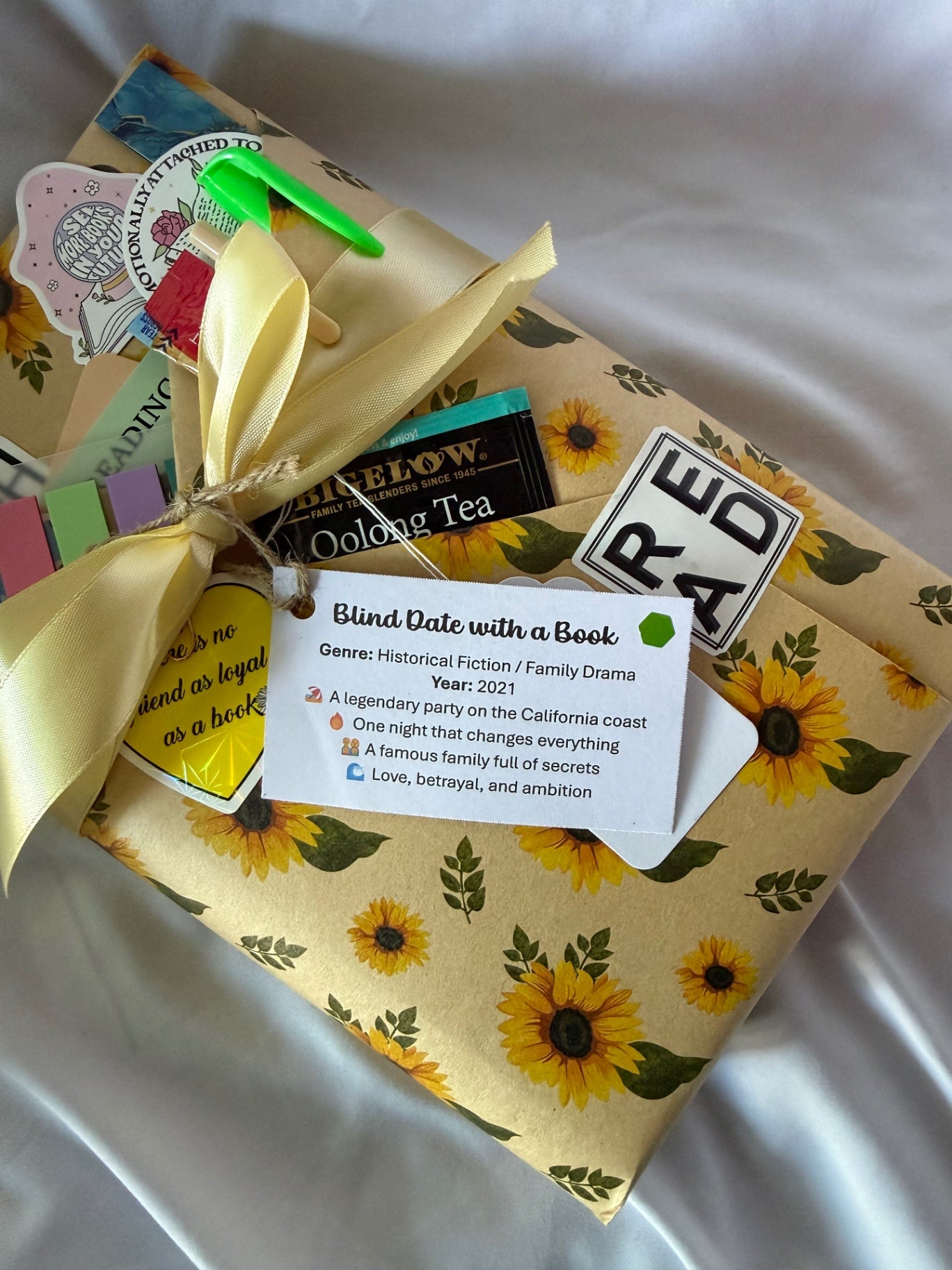 Date My Books Deluxe Blind Date Book - Historical Fiction - D61