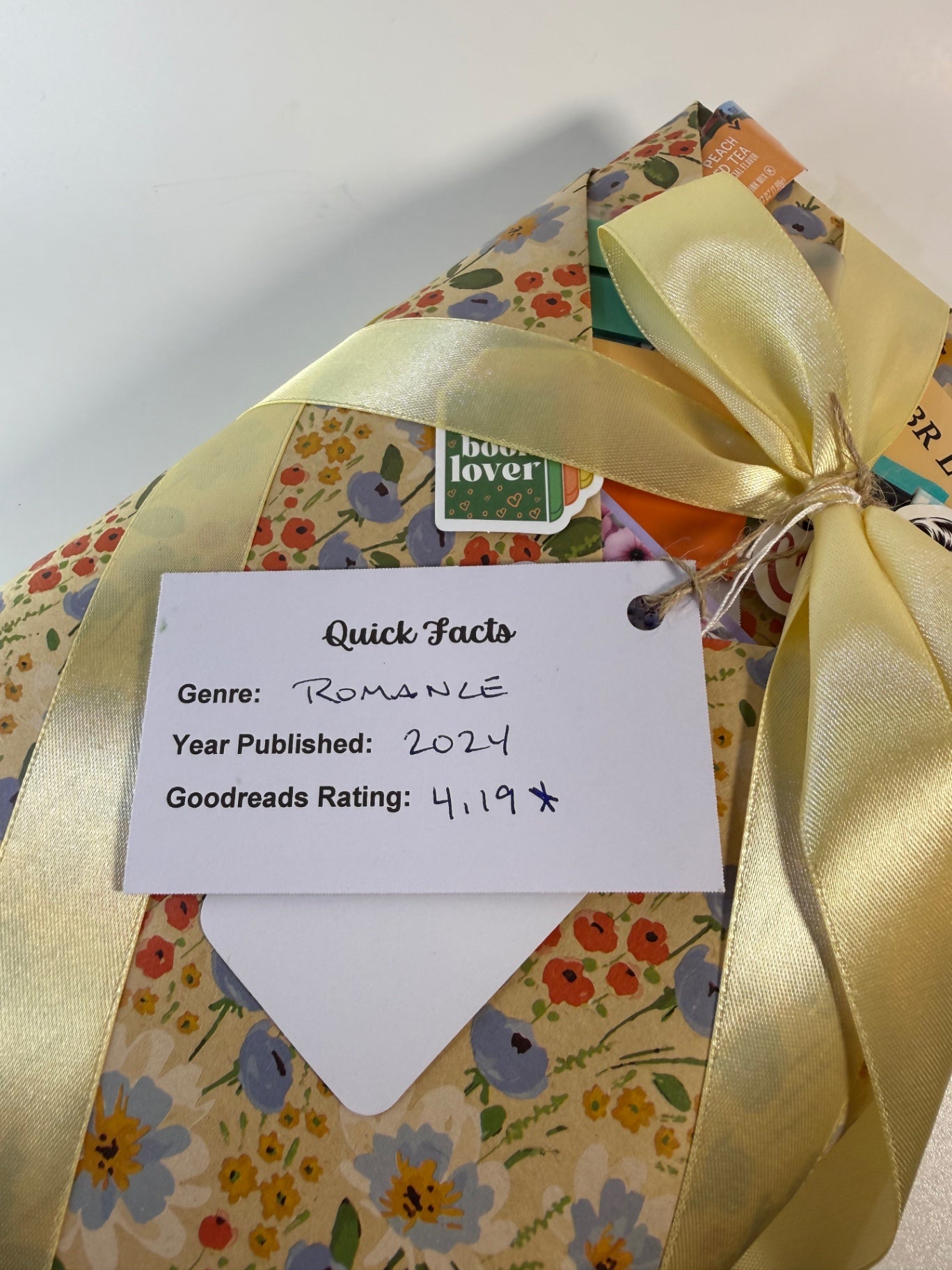 Date My Books Deluxe Blind Date Book - Romance - D45