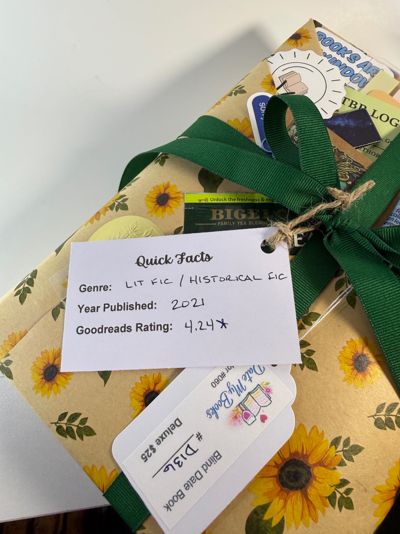 Date My Books Deluxe Blind Date Book - Historical Fiction - Lit Fic - D136