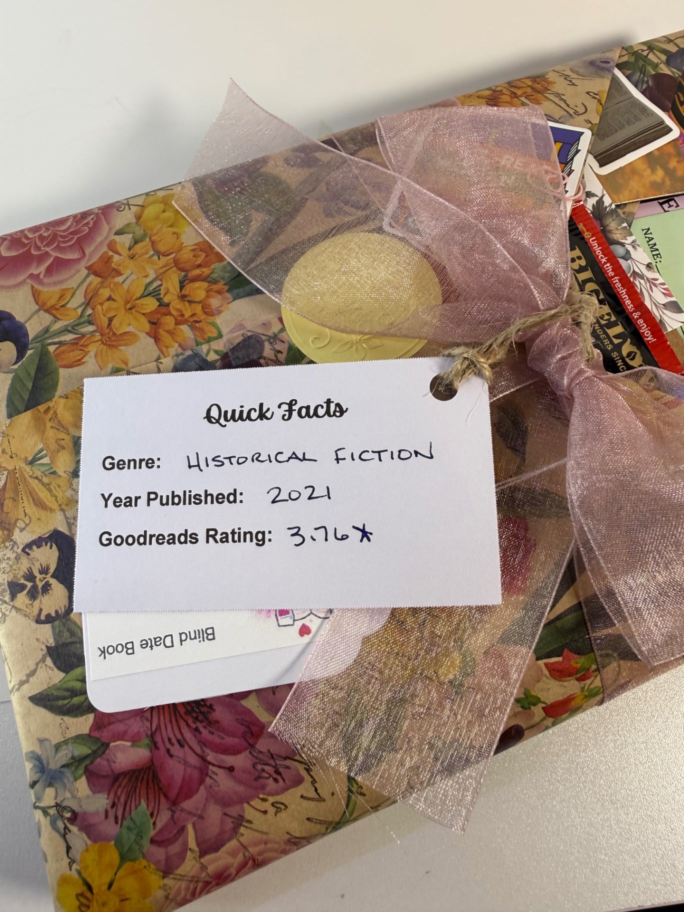 Date My Books Deluxe Blind Date Book - Historical Fiction - D134