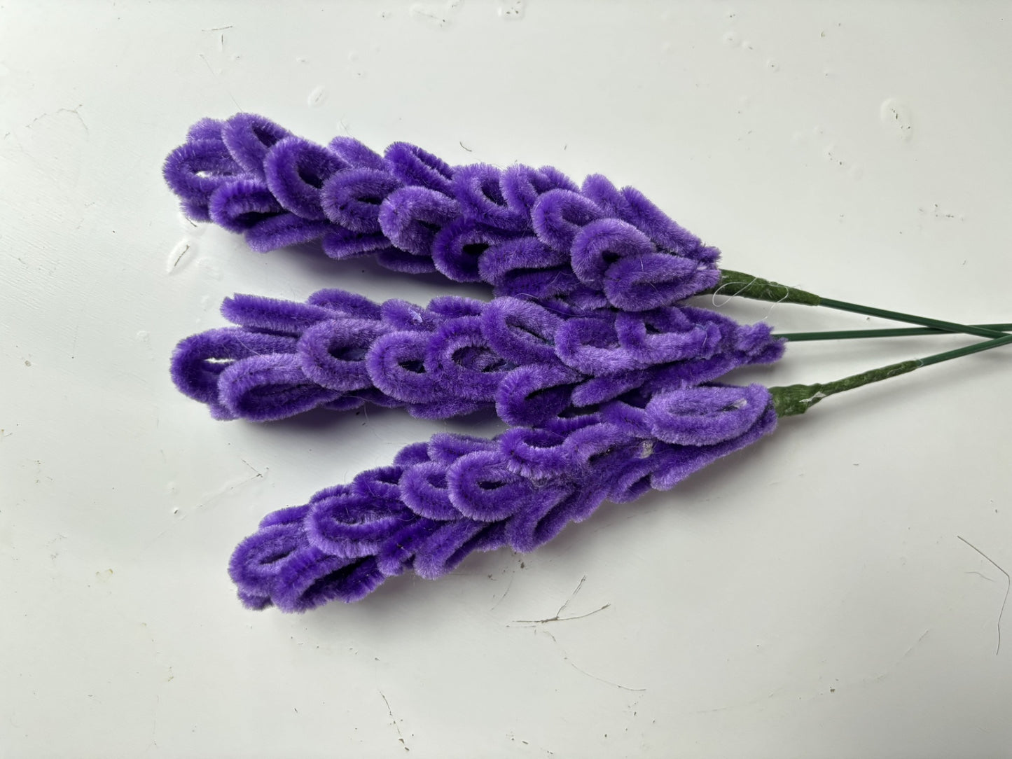 Single Stem, Lavendar