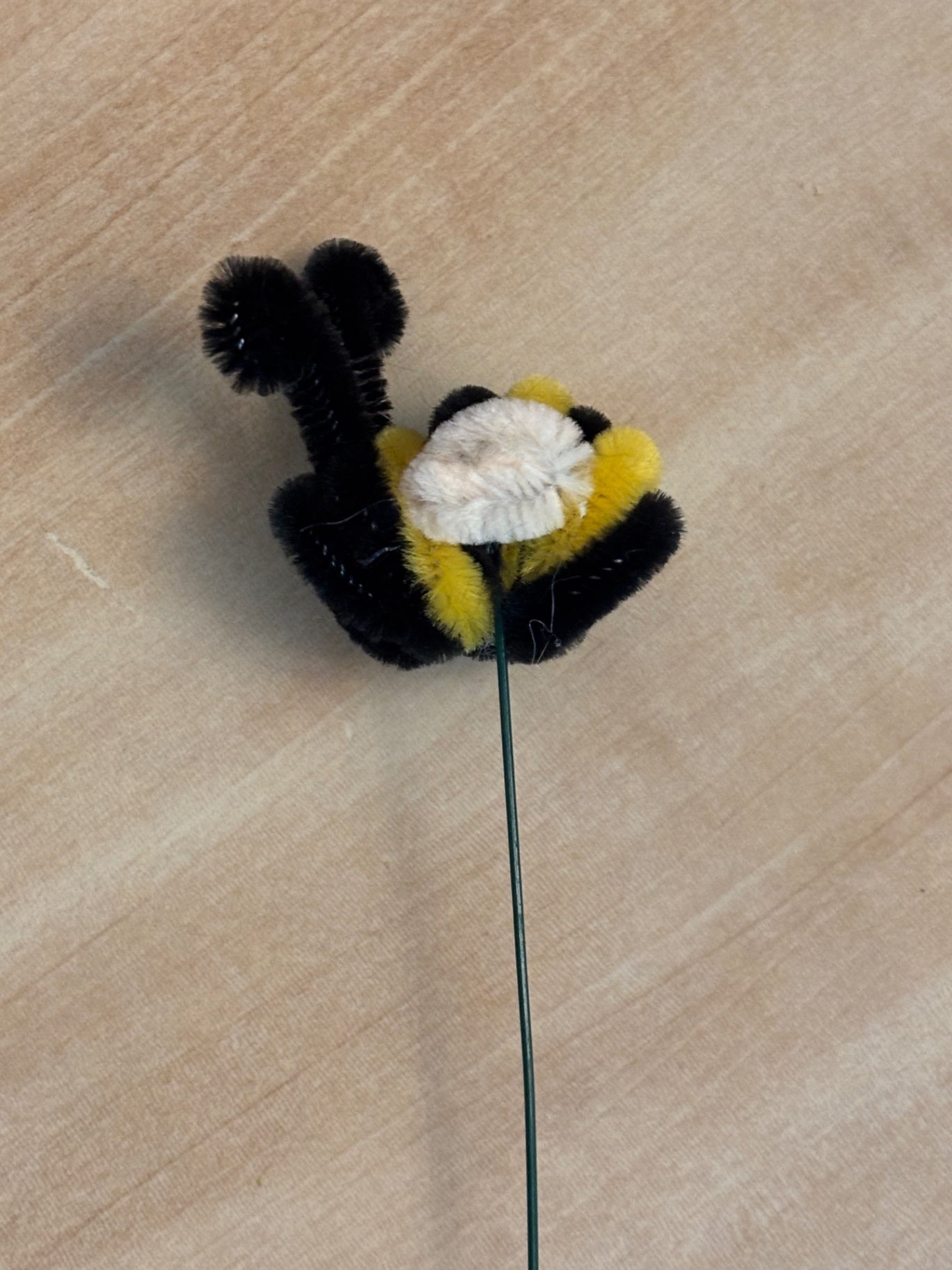 Bumblebee Accent