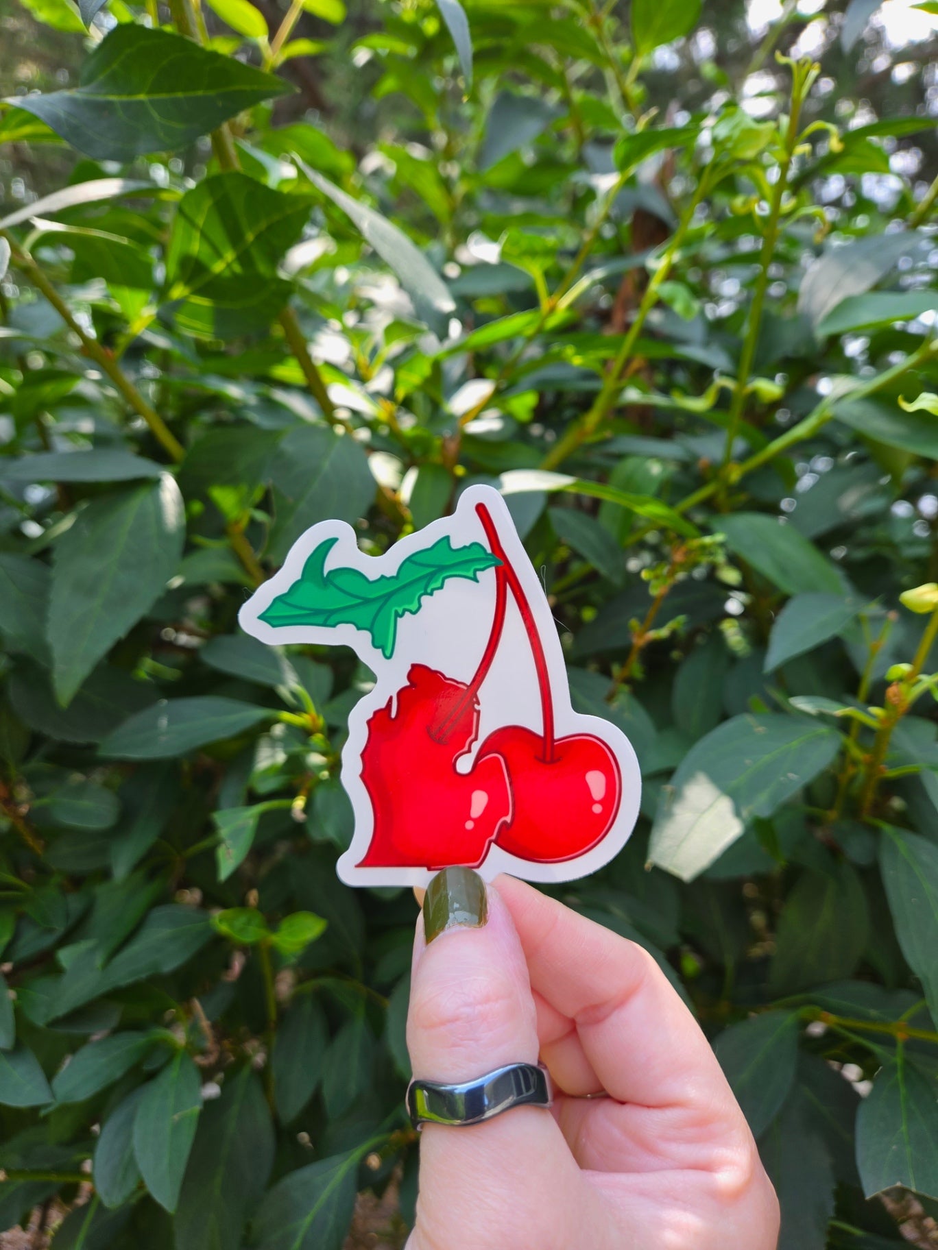 MI Cherries Sticker