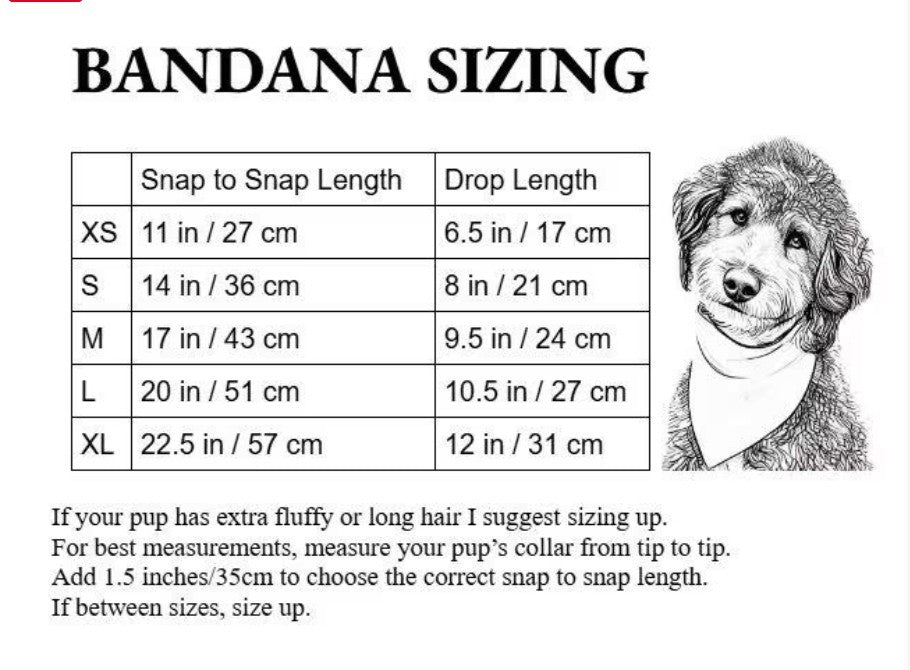 I Do Tricks for Treats Dog Bandana - Small