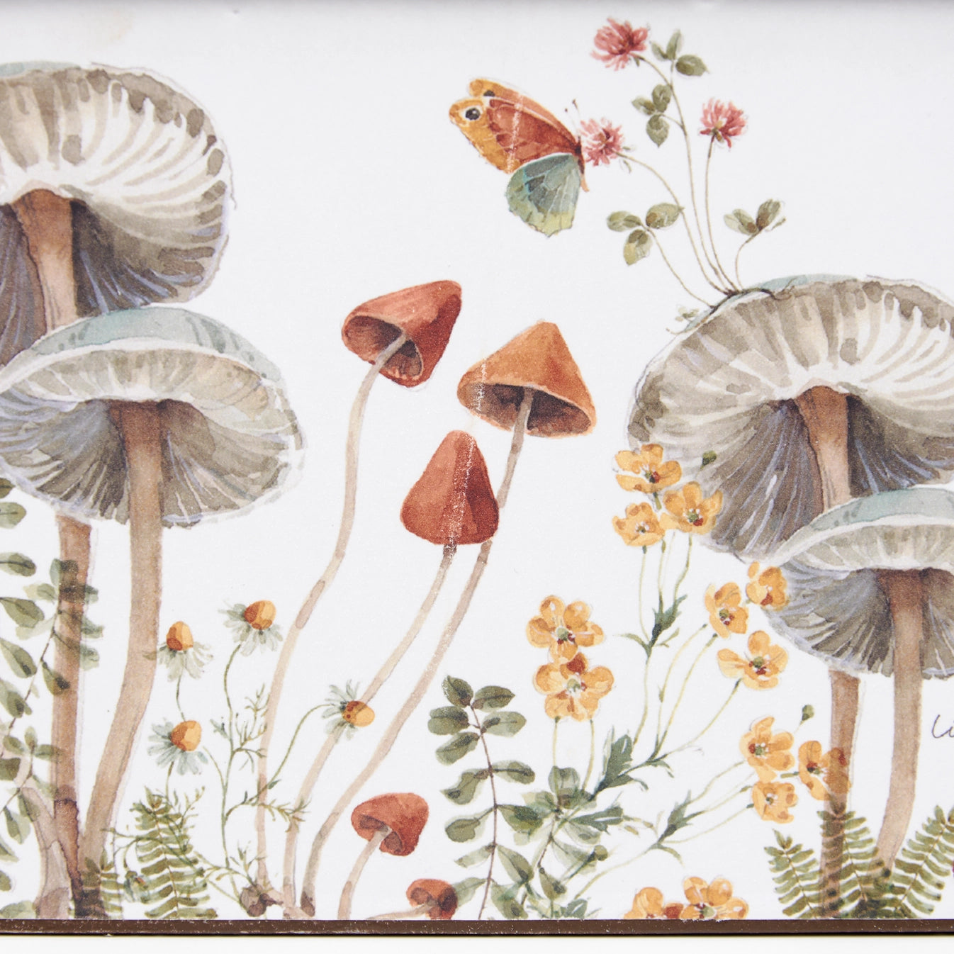 Mushroom Study Bin Set