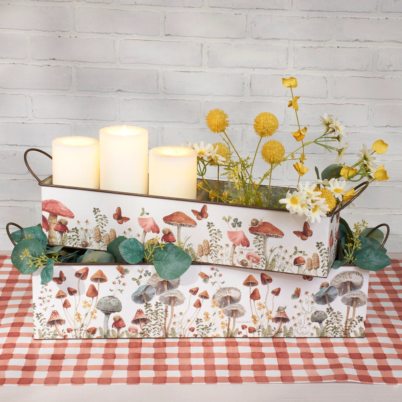 Mushroom Study Bin Set