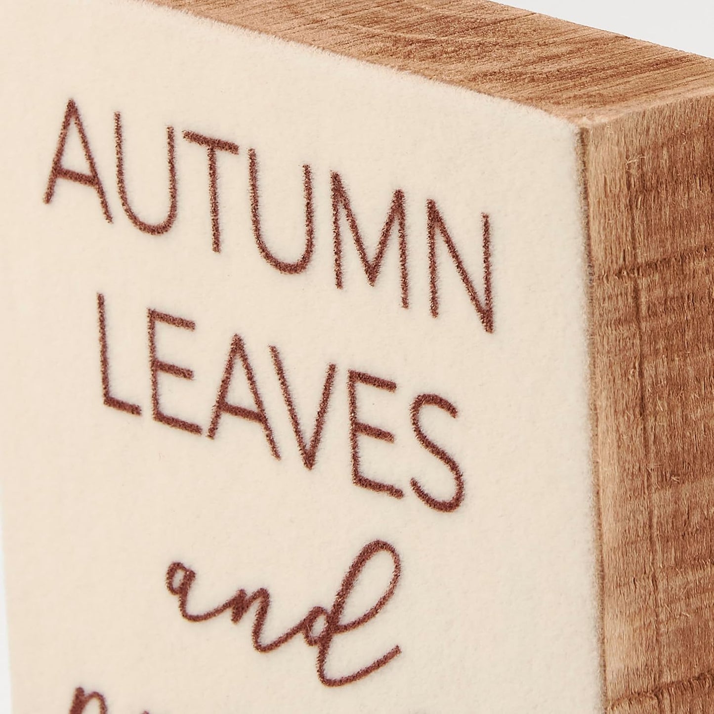 Autumn Leaves and Pumpkins Please, velvet background