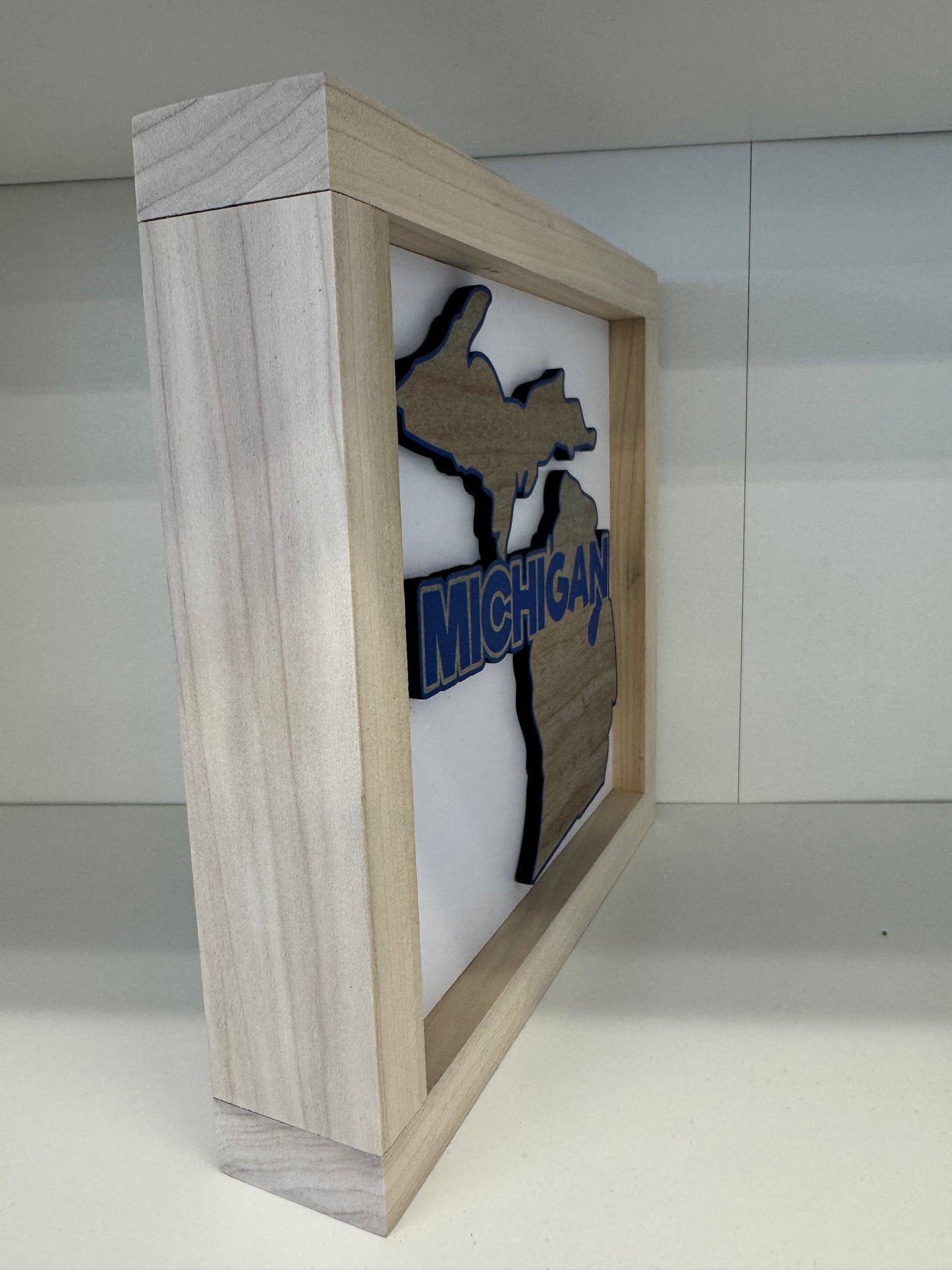 Michigan Shadow Box