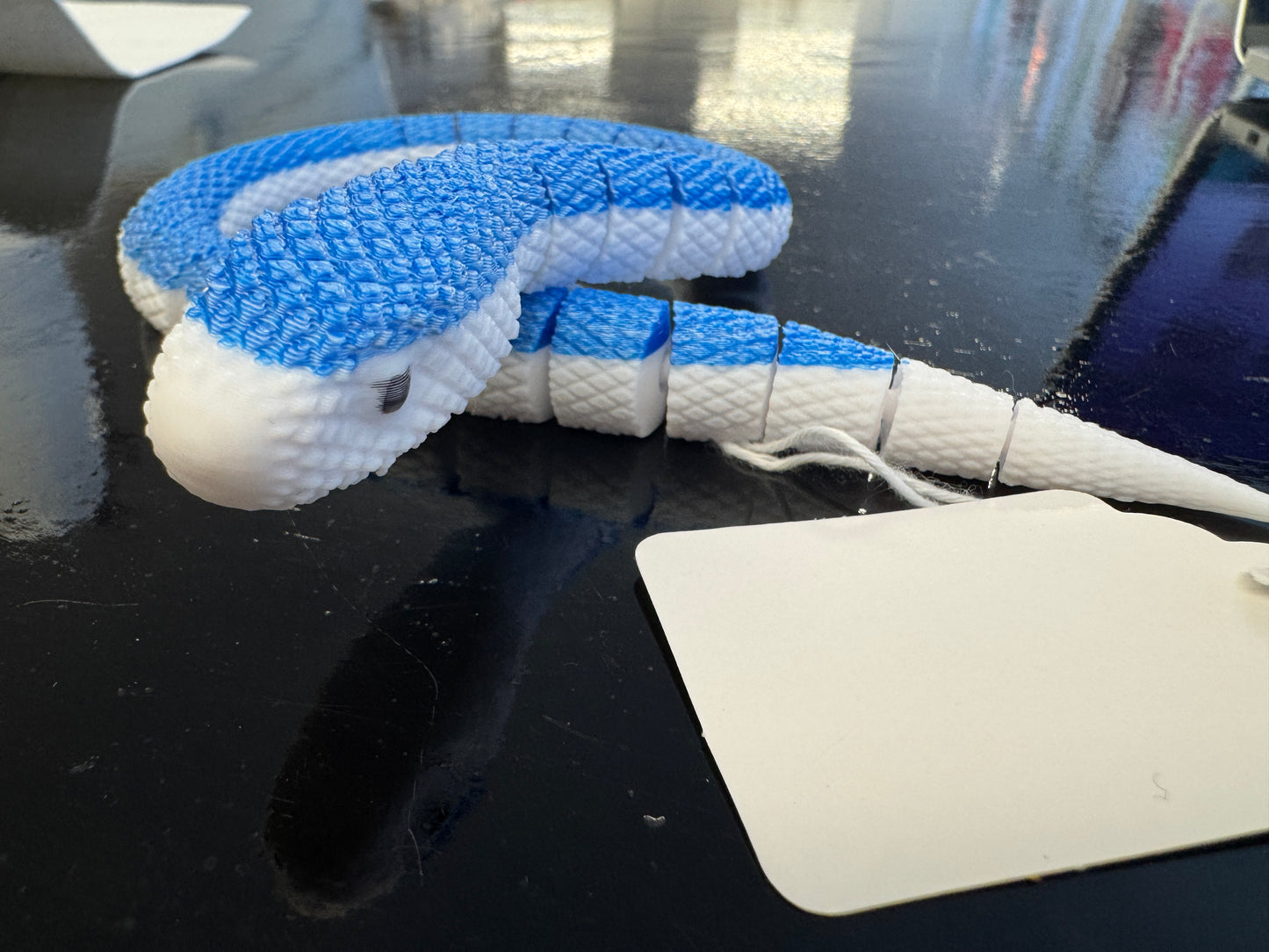 3D Printed Snake - Blue & White