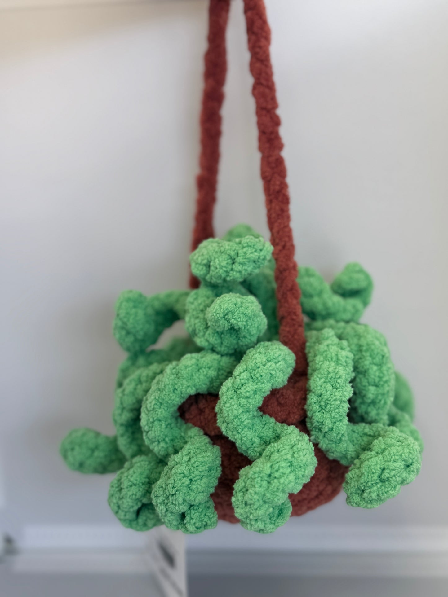 Handmade Crocheted Stuffed Animals - Hanging Snake Plant