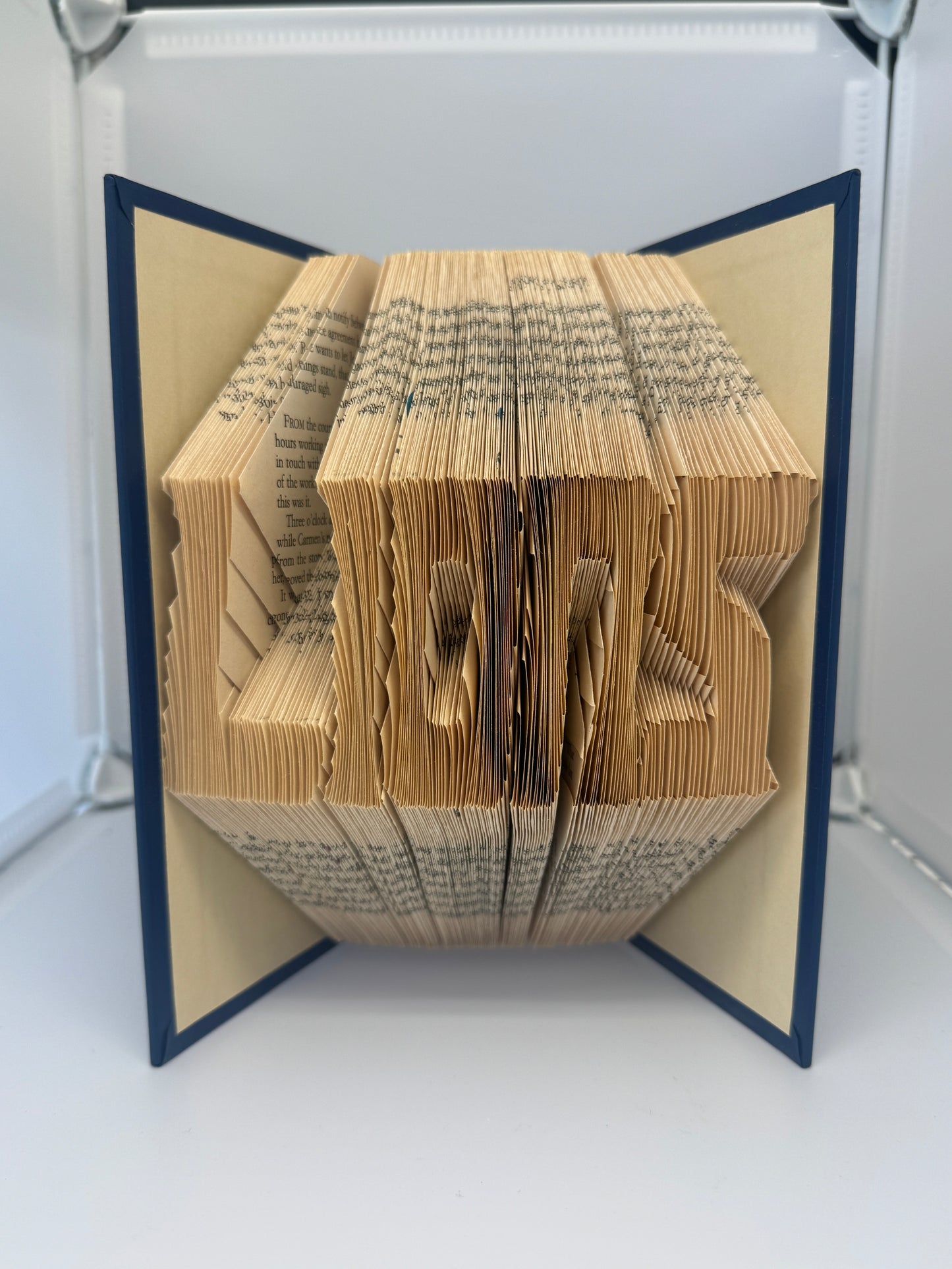 Folded Book Art - Lion