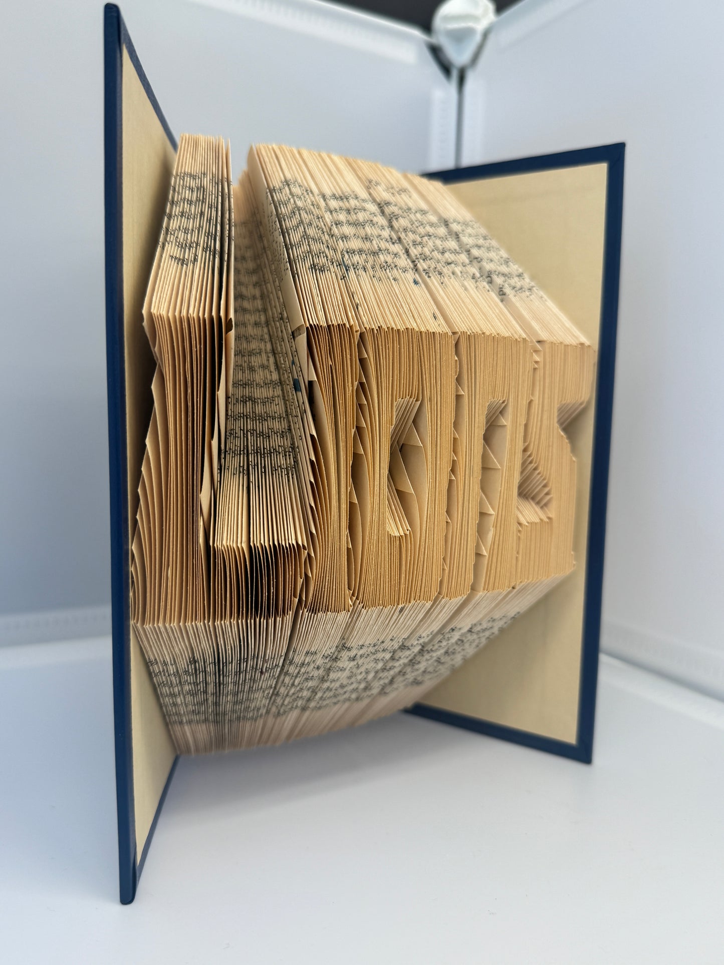 Folded Book Art - Lion