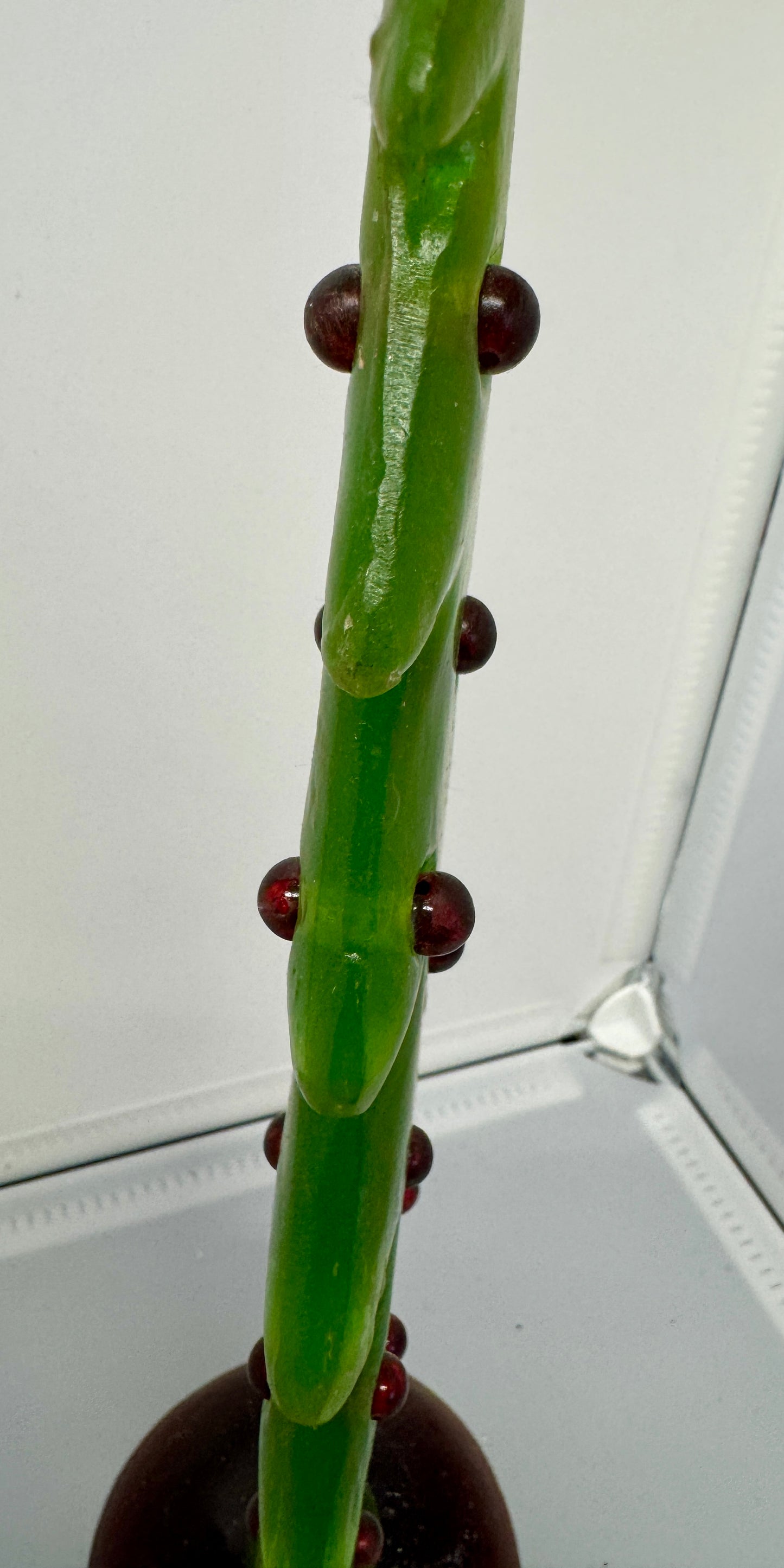 Handcrafted Green Resin Christmas Tree with Gold Star