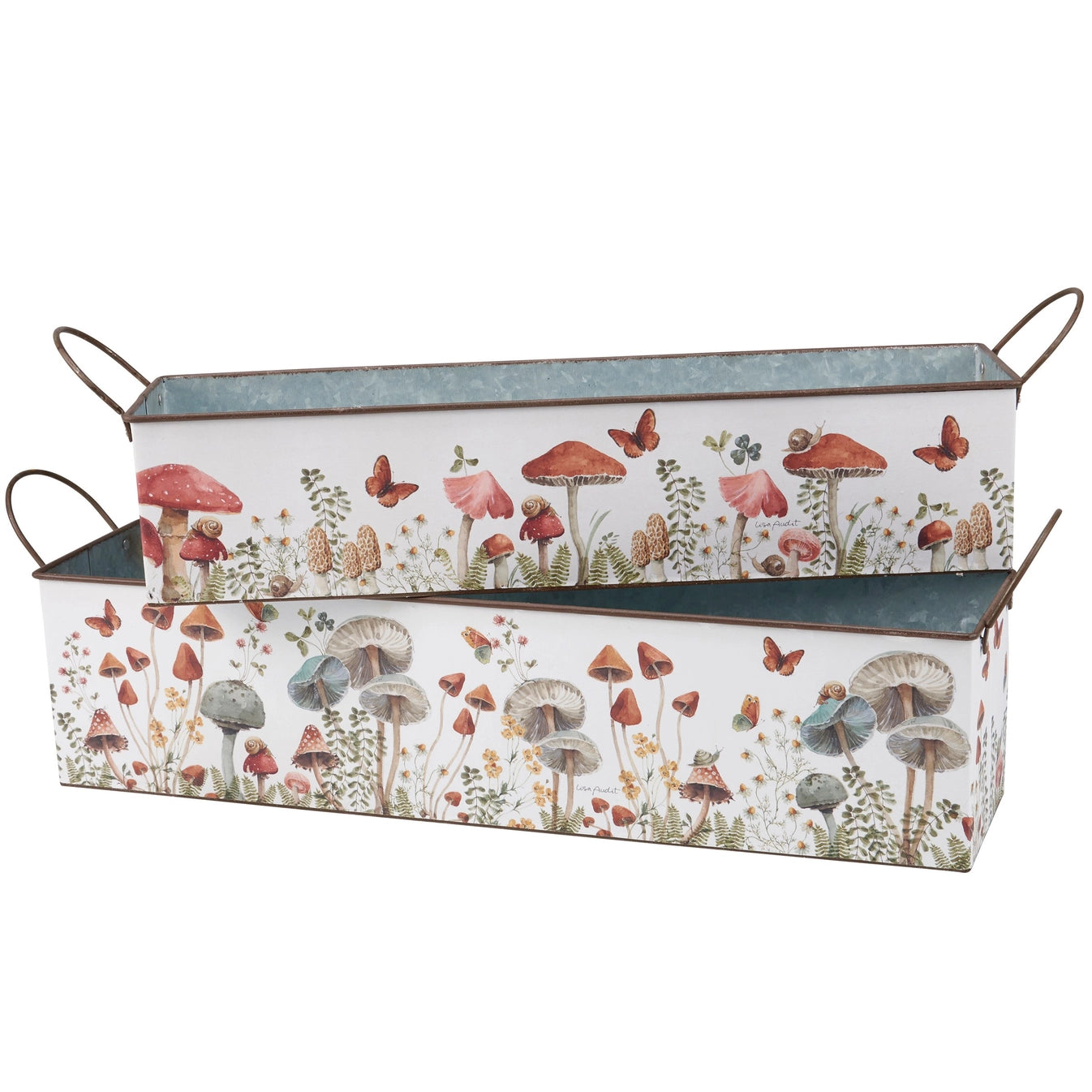Mushroom Study Bin Set
