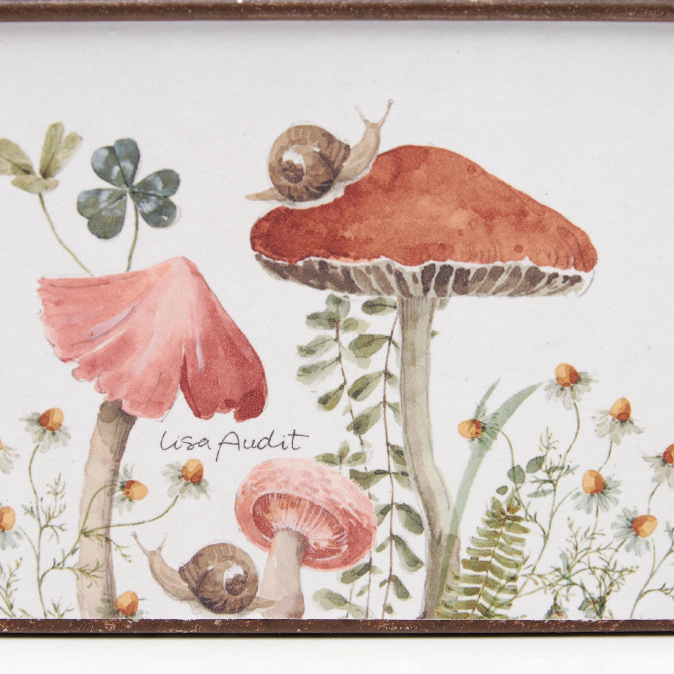 Mushroom Study Bin Set