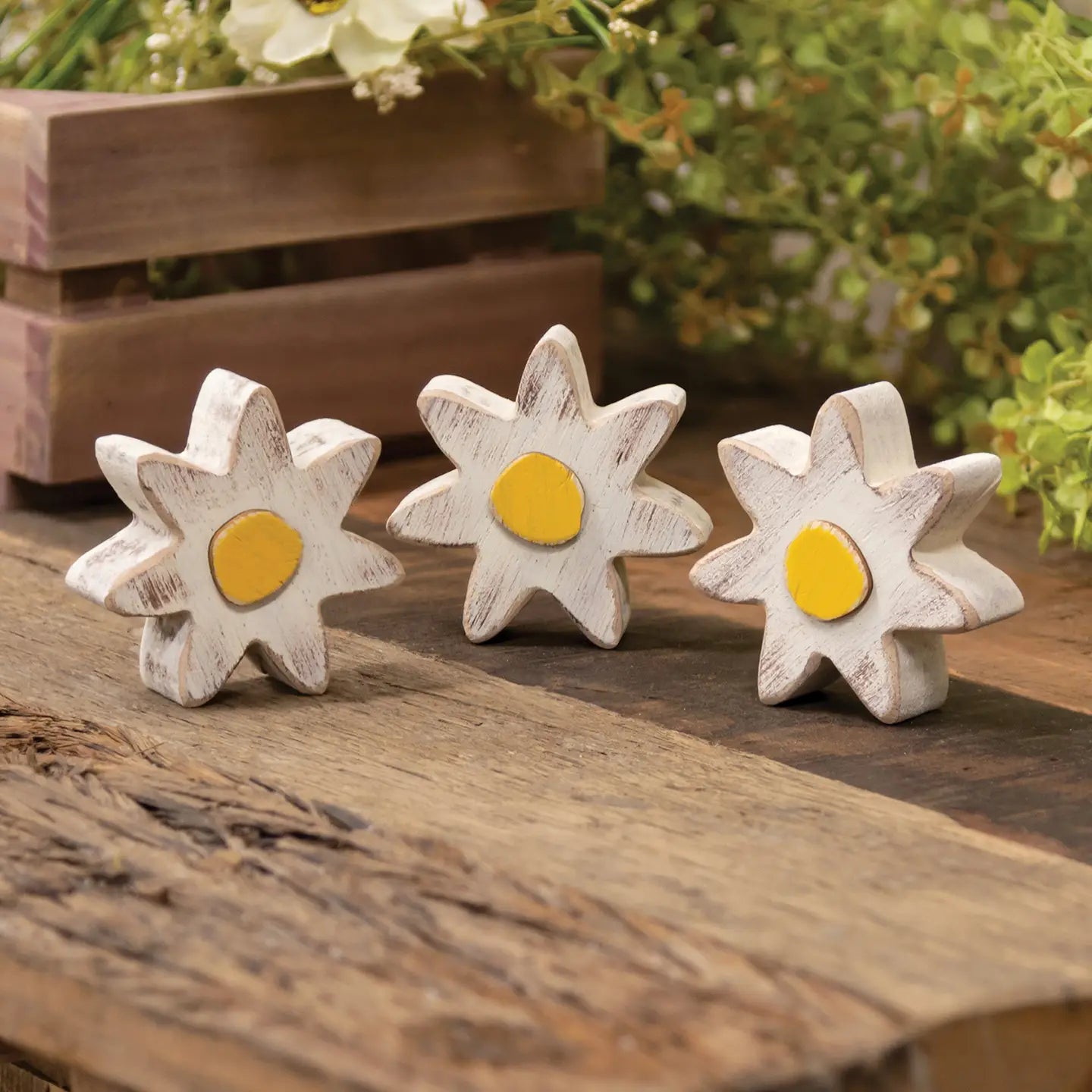 3/Set - Distressed Chunky Wooden White Daisy Sitter