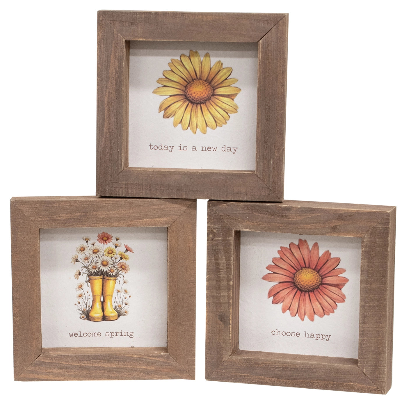 Daisy Framed Sign – Assorted