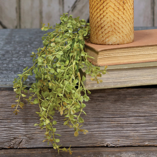 Baby’s Grass Hanging Bush – Light Green 19"