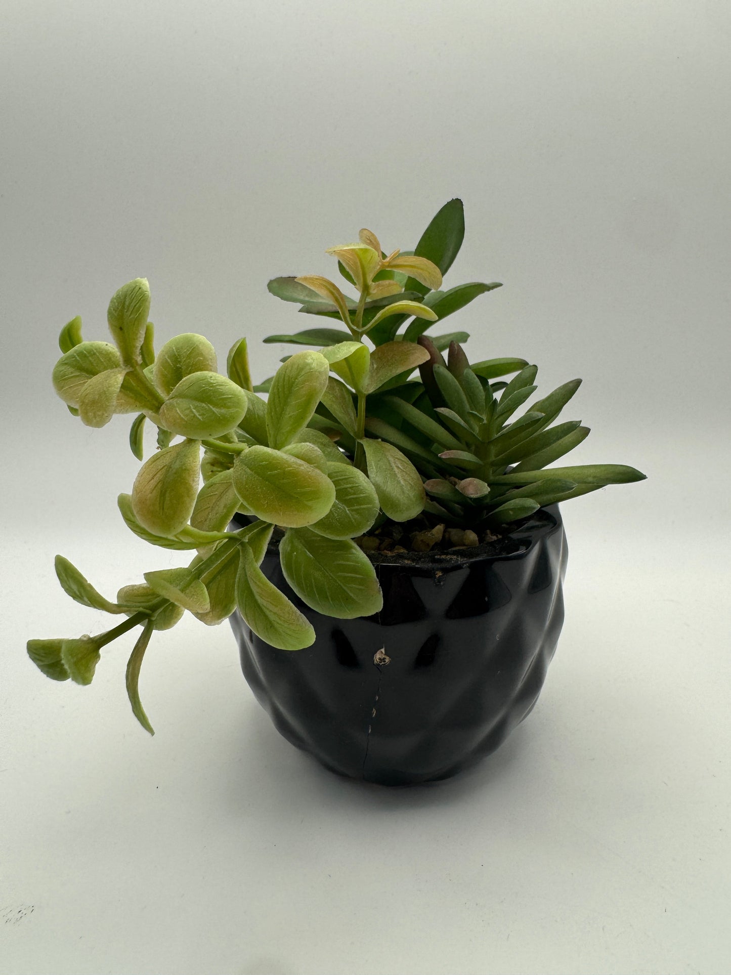 Faux Succulent Arrangement in Black Textured Vase
