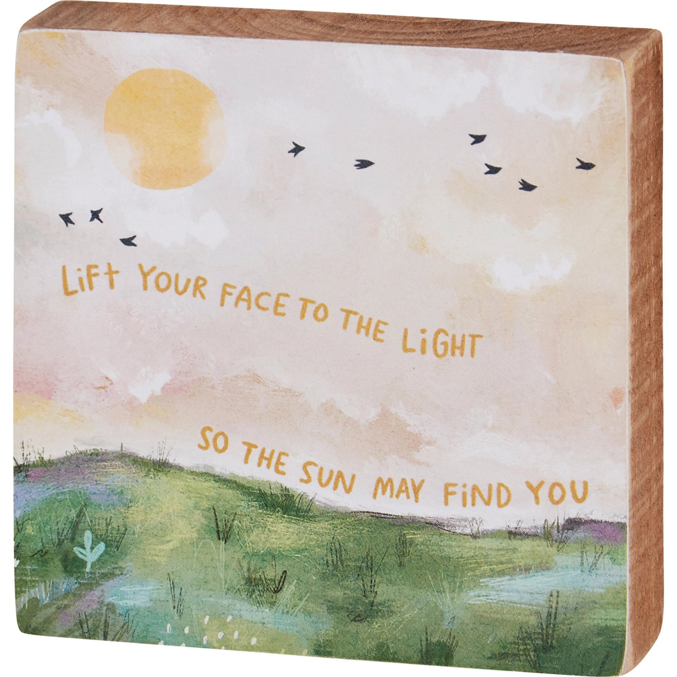 Lift Your Face To The Light Block Sign