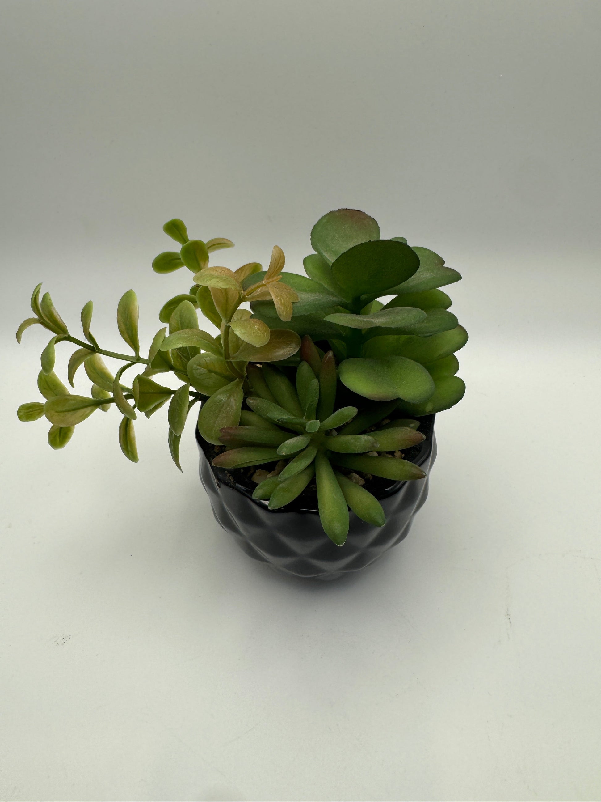 Faux Succulent Arrangement in Black Textured Vase