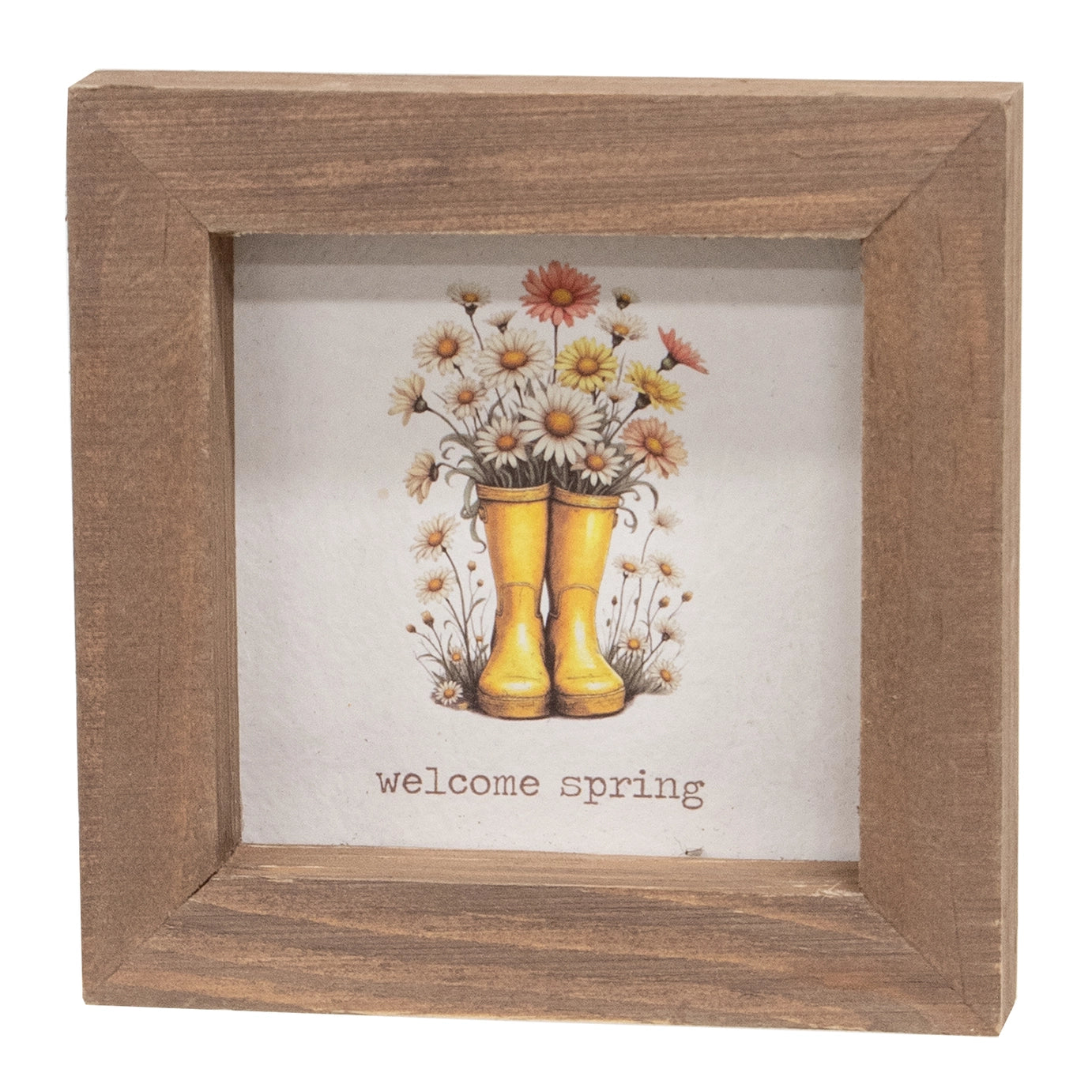 Daisy Framed Sign – Assorted