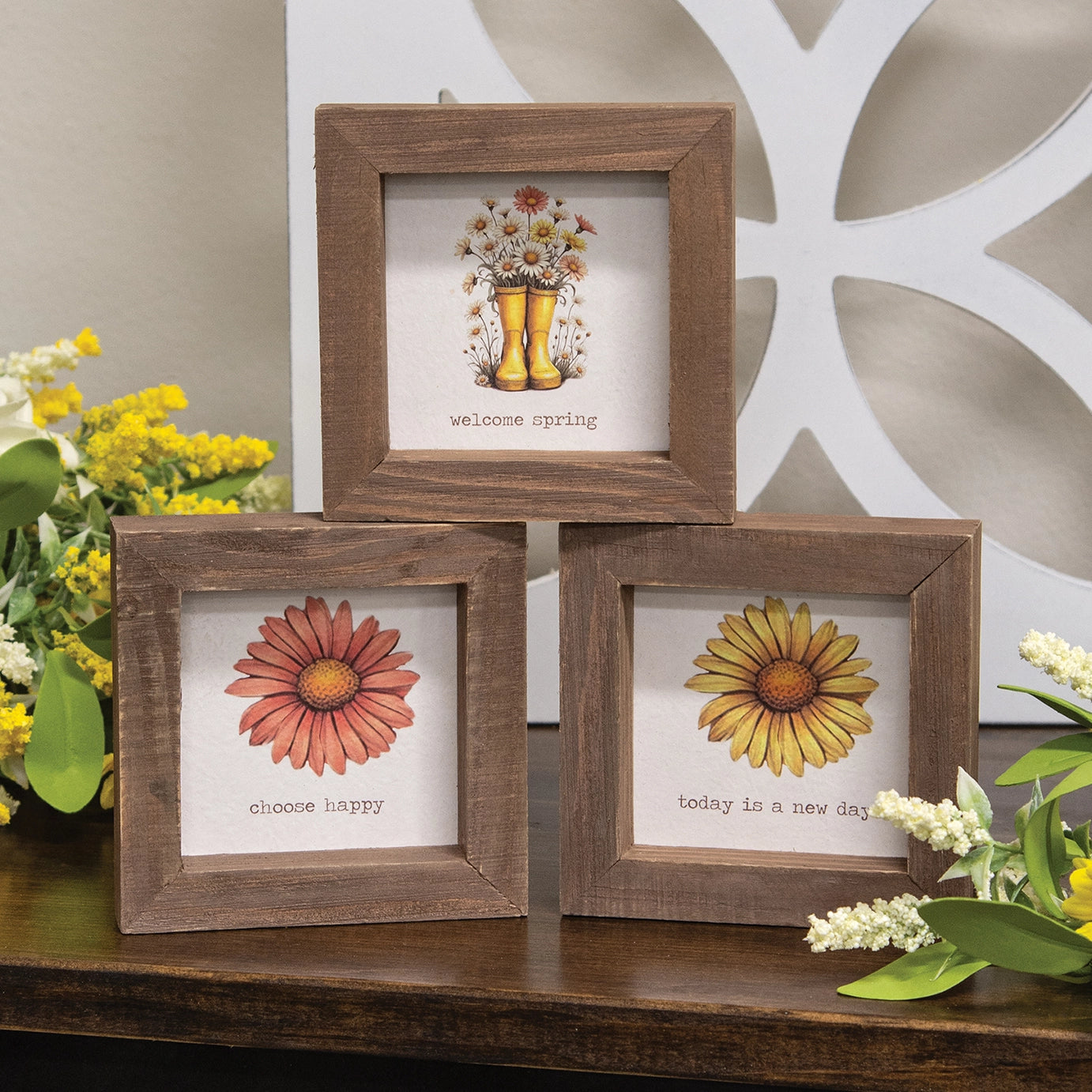 Daisy Framed Sign – Assorted