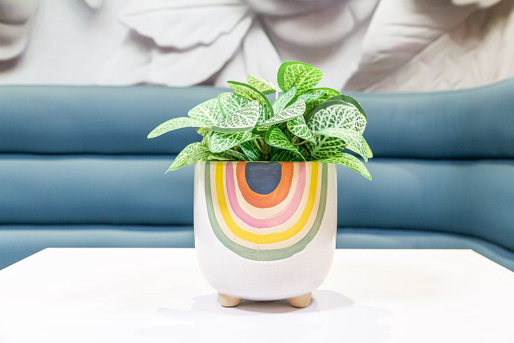 Large Rainbow Planter with Legs