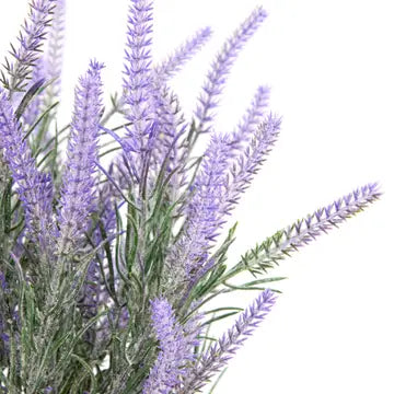 Lavender Faux Planter in Wooden Box
