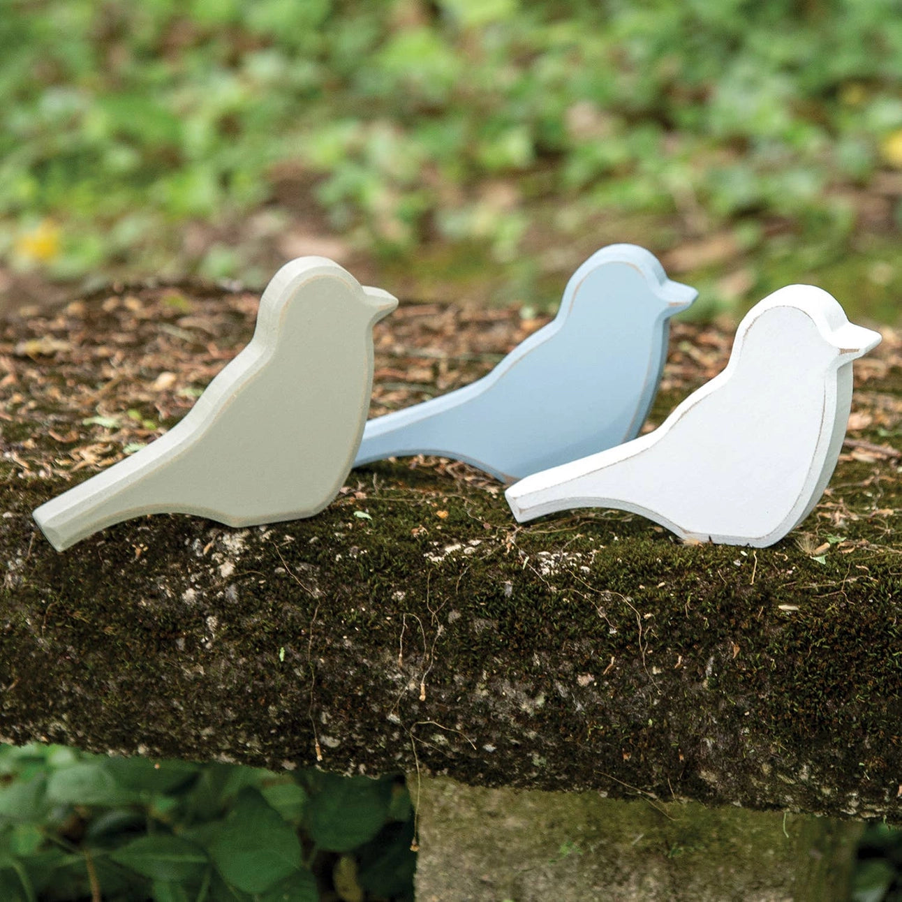 Distressed Wooden Spring Bird Sitter – 3 Assorted Colors