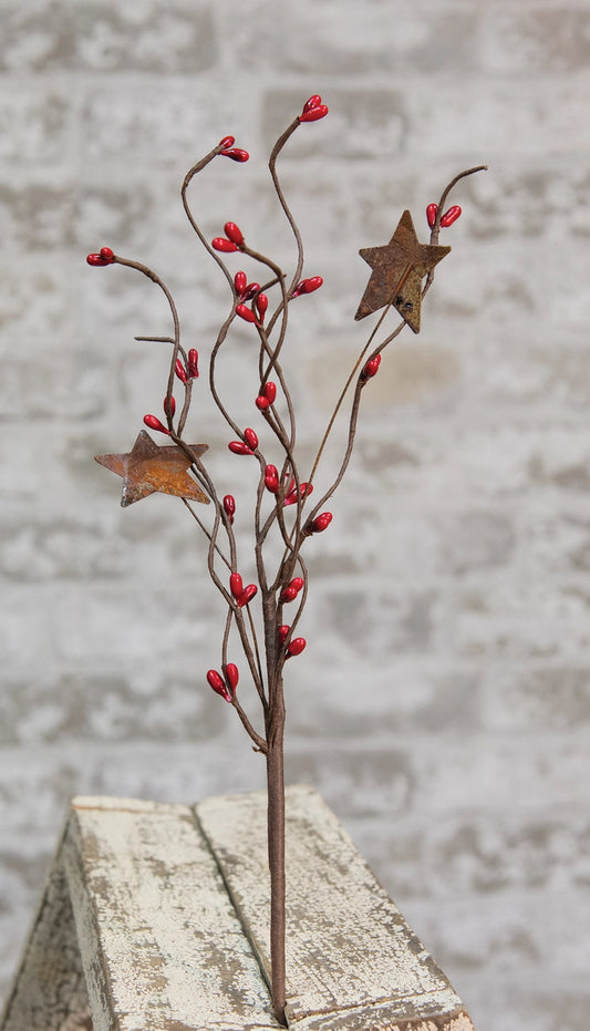 Red Pip Berry & Star Pick – 12" Rustic Farmhouse Stem