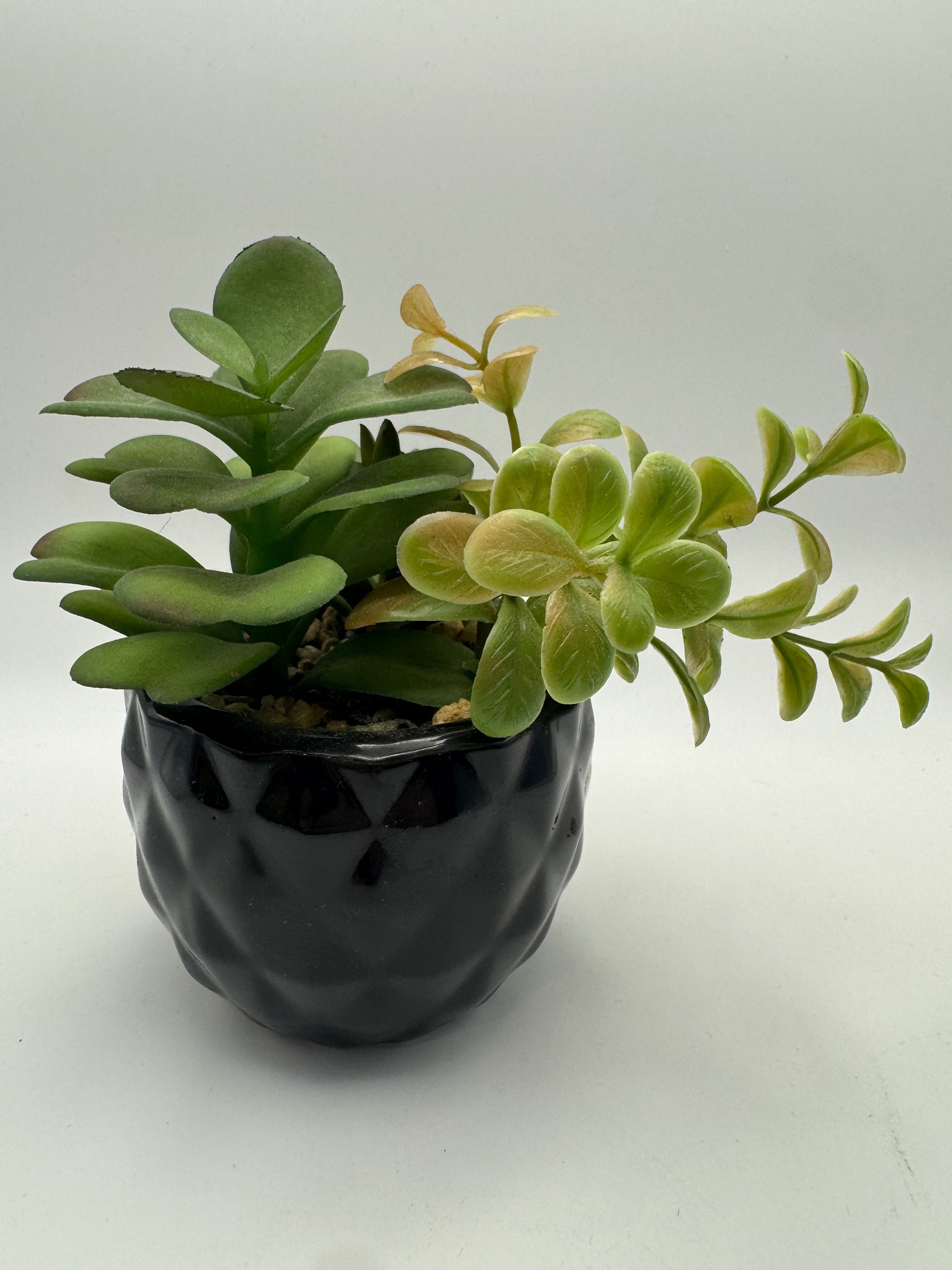 Faux Succulent Arrangement in Black Textured Vase