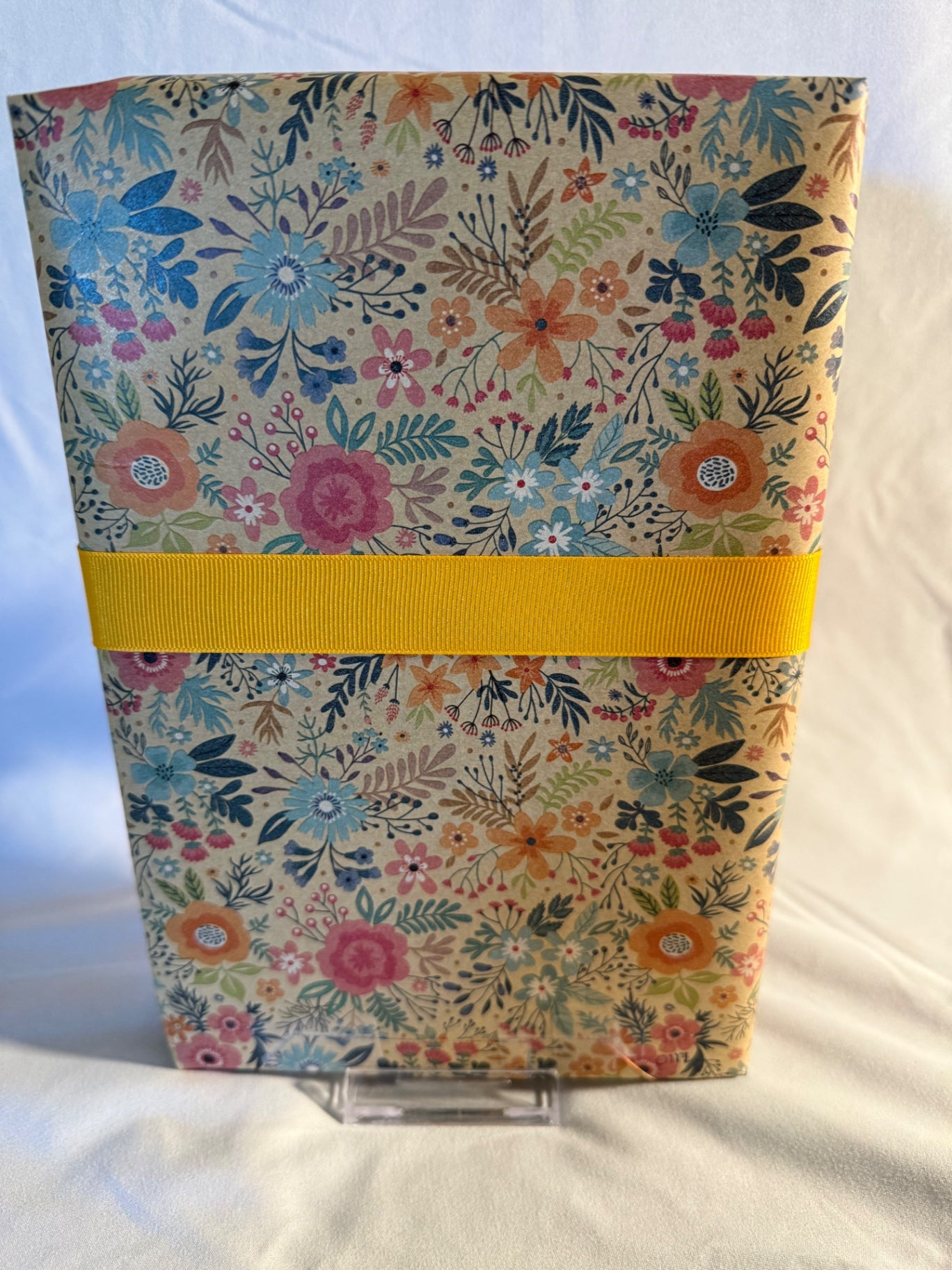 Date My Books Deluxe Blind Date Book - Historical Fiction - D117