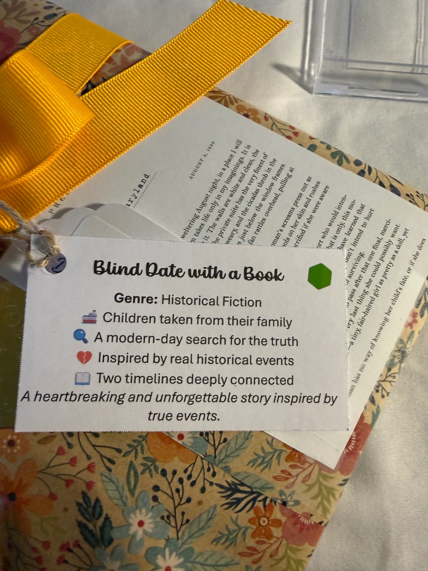Date My Books Deluxe Blind Date Book - Historical Fiction - D117