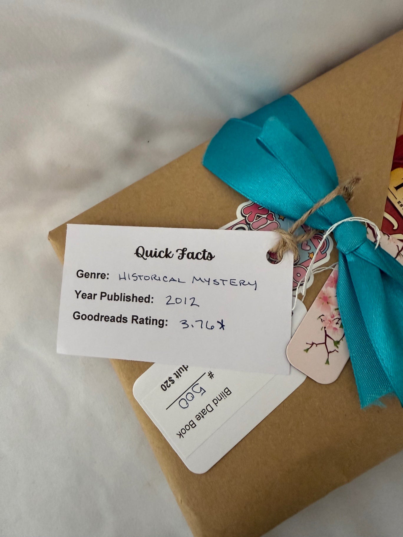 Date My Books Blind Date Book - Historical Fiction - Mystery - 500