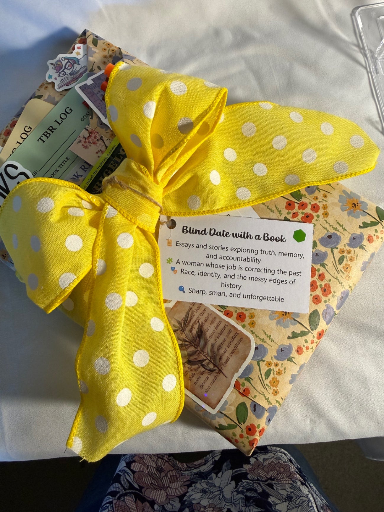 Date My Books Deluxe Blind Date Book - Historical Fiction - D33
