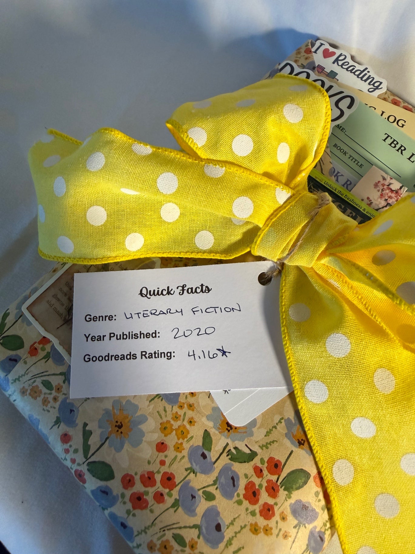 Date My Books Deluxe Blind Date Book - Historical Fiction - D33