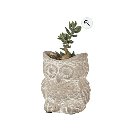 Cement Owl Planter – Indoor & Outdoor Garden Decor - Light Gray