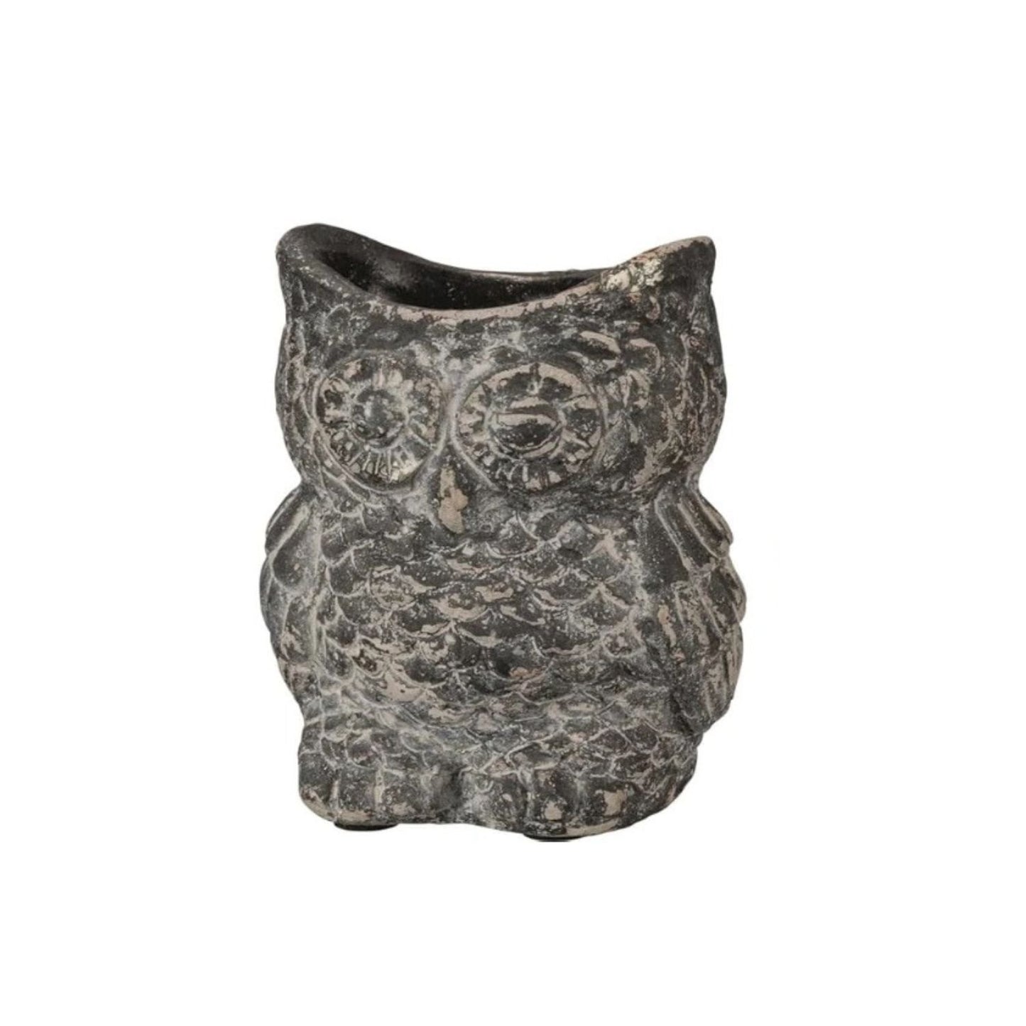 Cement Owl Planter – Indoor & Outdoor Garden Decor - Black