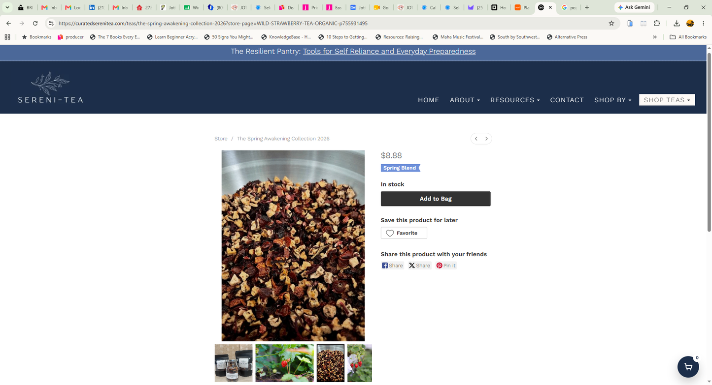 Wild Strawberry Tea - Large - Sereni-Tea  5.6oz