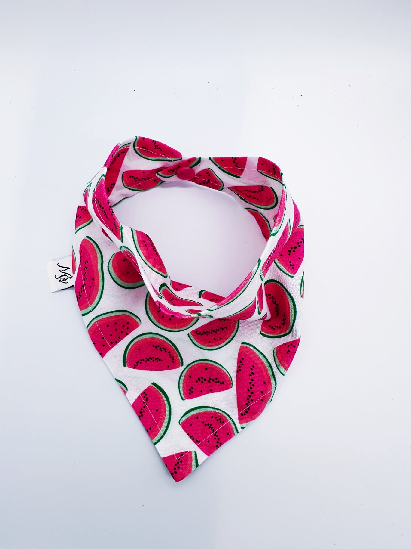 Watermelon Snap-On Pet Bandana- Medium