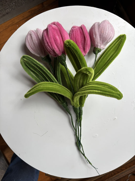 Single Stem, Tulip (various colors)
