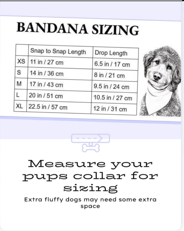 American Stars Snap-On Pet Bandana  - Medium