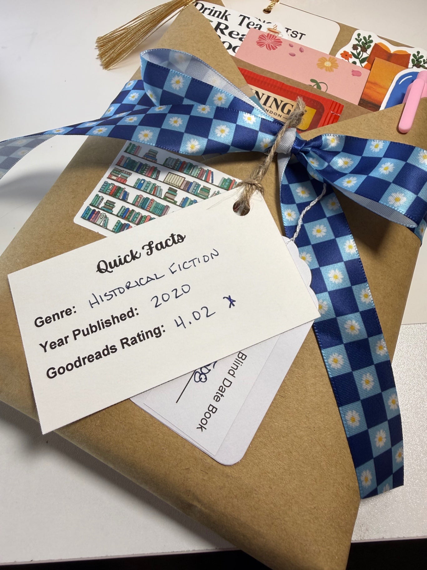 Date My Books Blind Date Book - Historical Fiction - 508